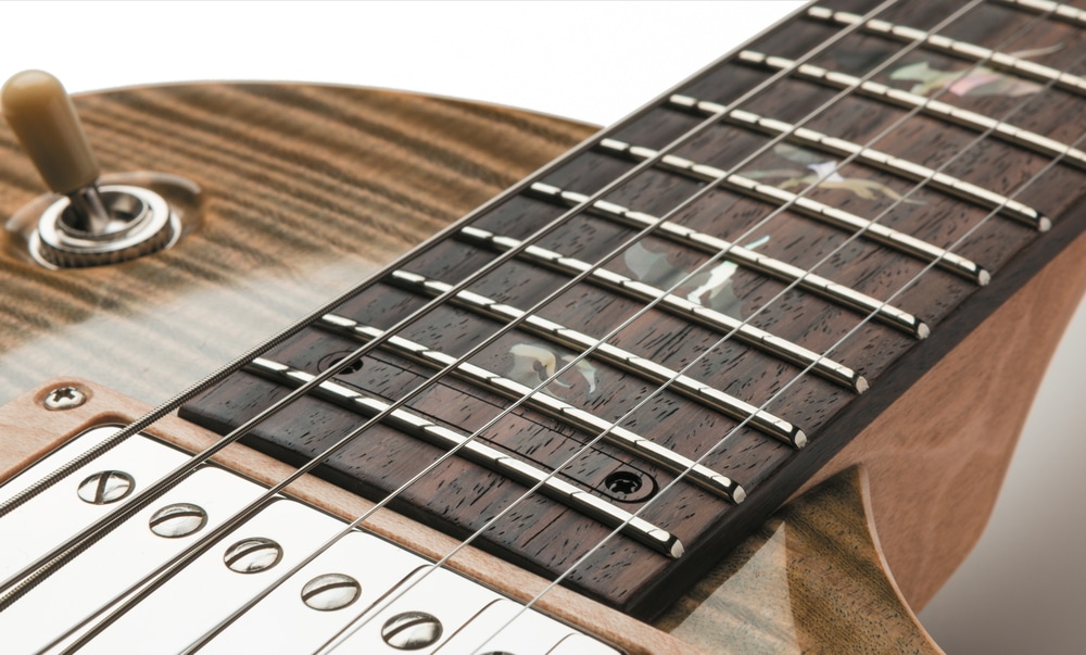 Frank Hartung Custom Flying Dragon_01