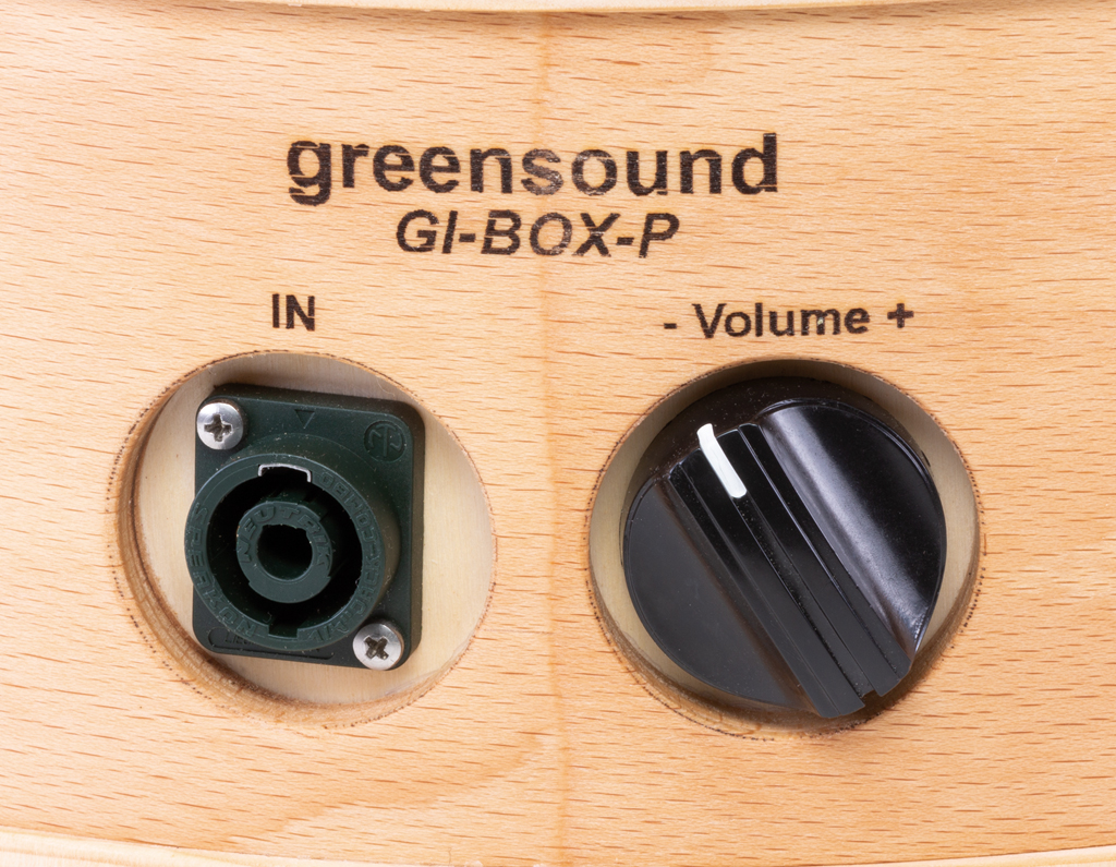 Input und Volume-Regler der Passivbox