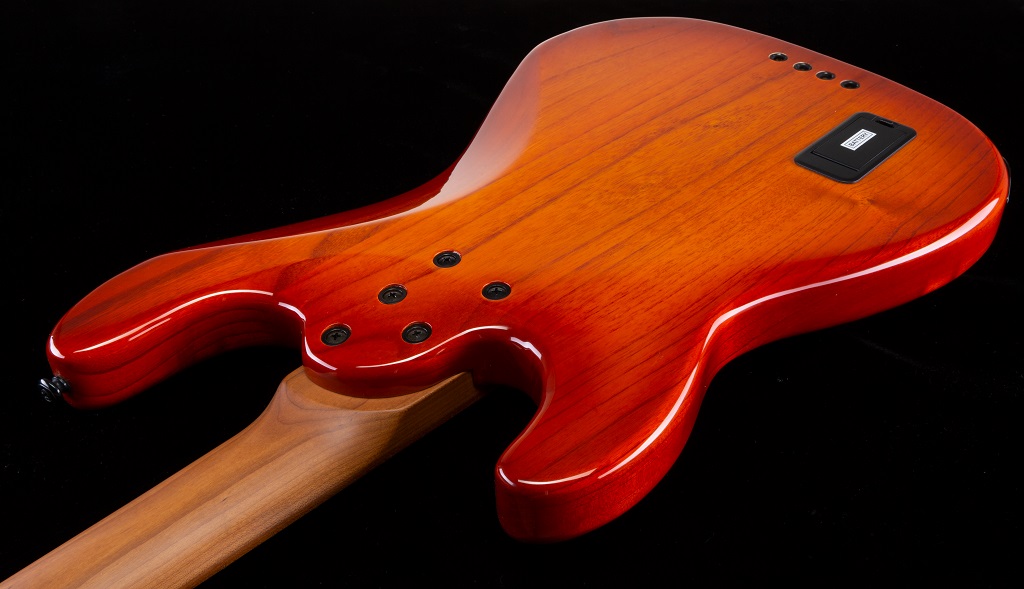 Schecter Exotic P-4