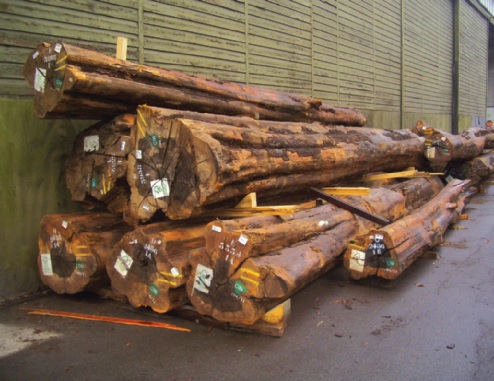 FSC-zertifiziertes Ebenholz