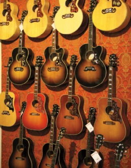 Gibson Stützpunkthändler