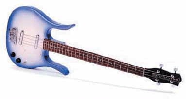 danelectro