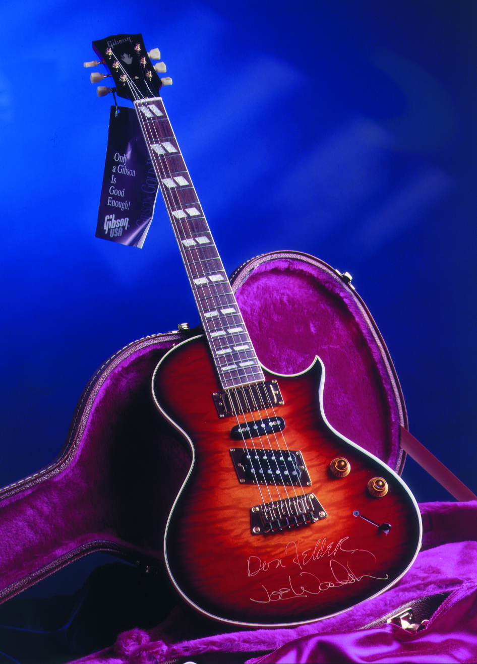 Nighthawk mit ihrem speziellen Steg-Pickup