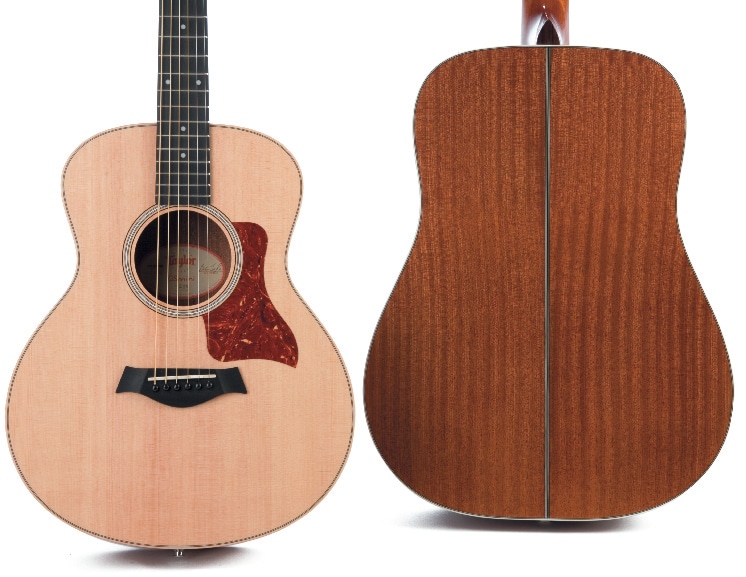 taylor_gs_mini_1