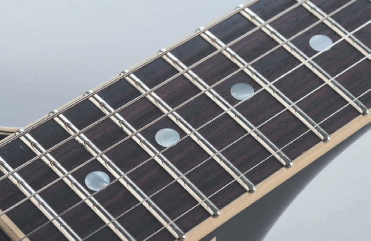 fgn_masterfield_msa_2