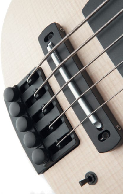 ns_design_radius_cr5_fretless_2