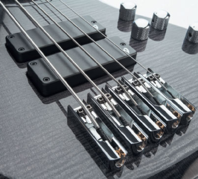 vigier_passion_iv_5_strings_2