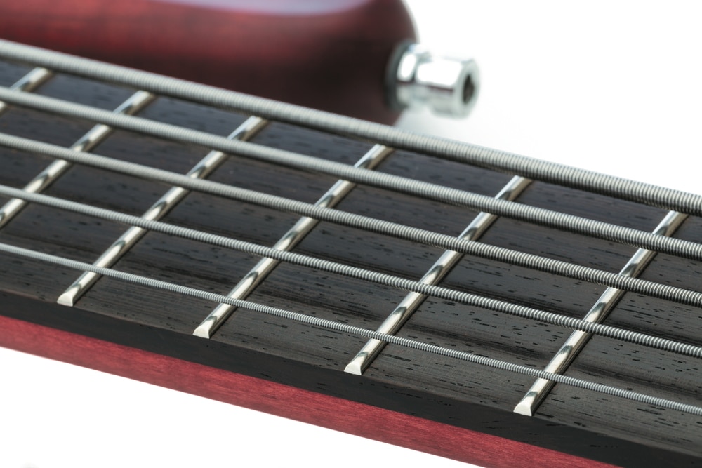 Warwick GPS Streamer Stage I_01
