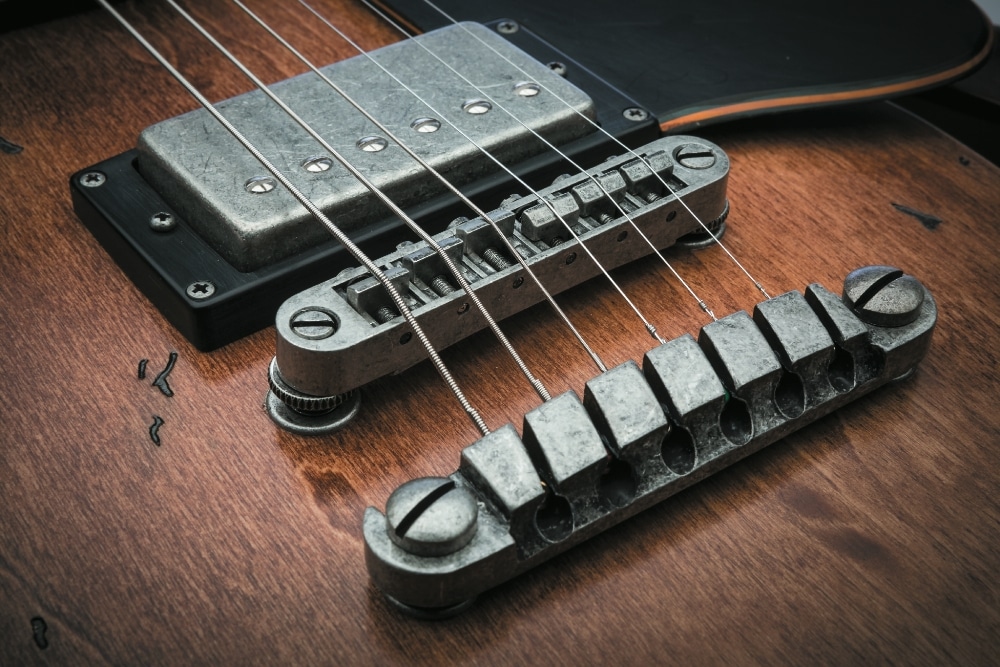 Ibanez ASV10A-TCL & AM_02