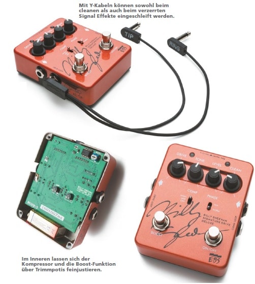 billy-sheehan-signature-drive-deluxe