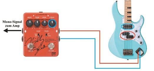 billy-sheehan-signal