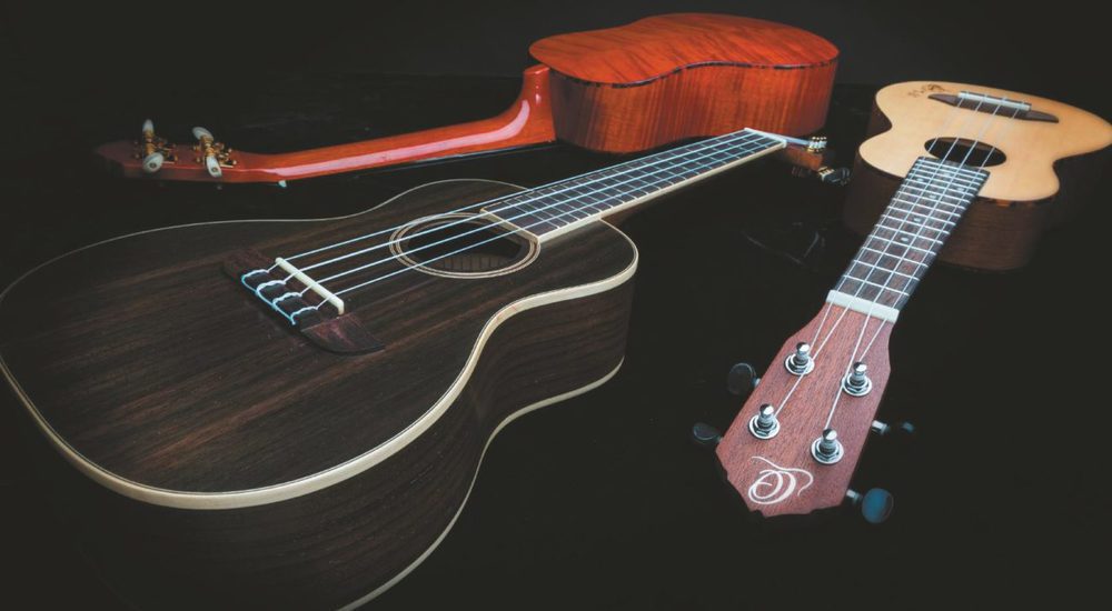 Ukulele lernen leicht gemacht GITARRE & BASS