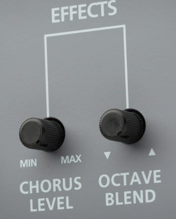 Blackstar Unity Bass