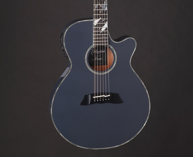 Takamine Moon