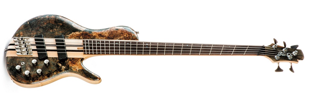 Cort Artisan A5 Plus