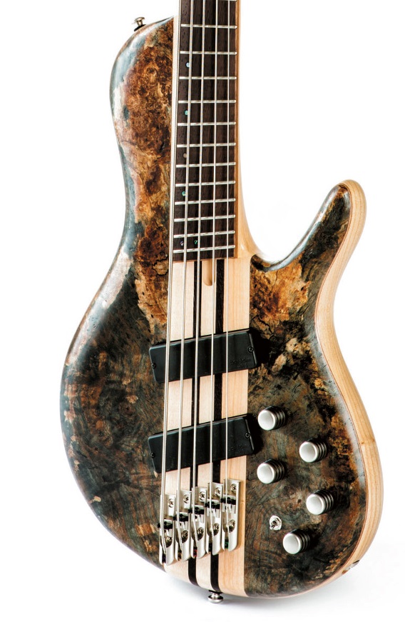 Cort Artisan A5 Plus