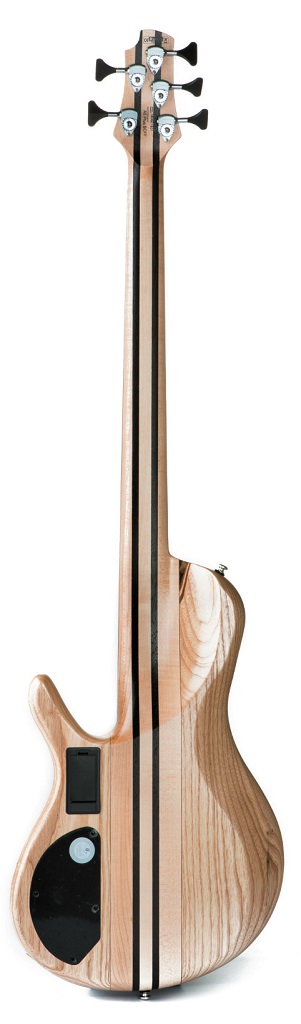 Cort Artisan A5 Plus