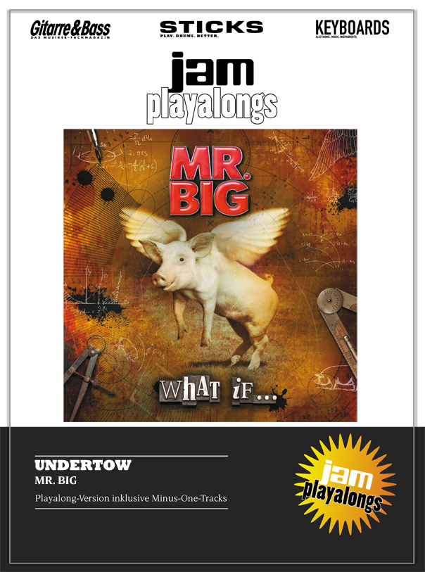 Produkt: Undertow – Mr. Big