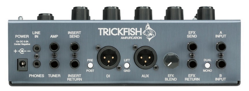 Trickfish Trilobite