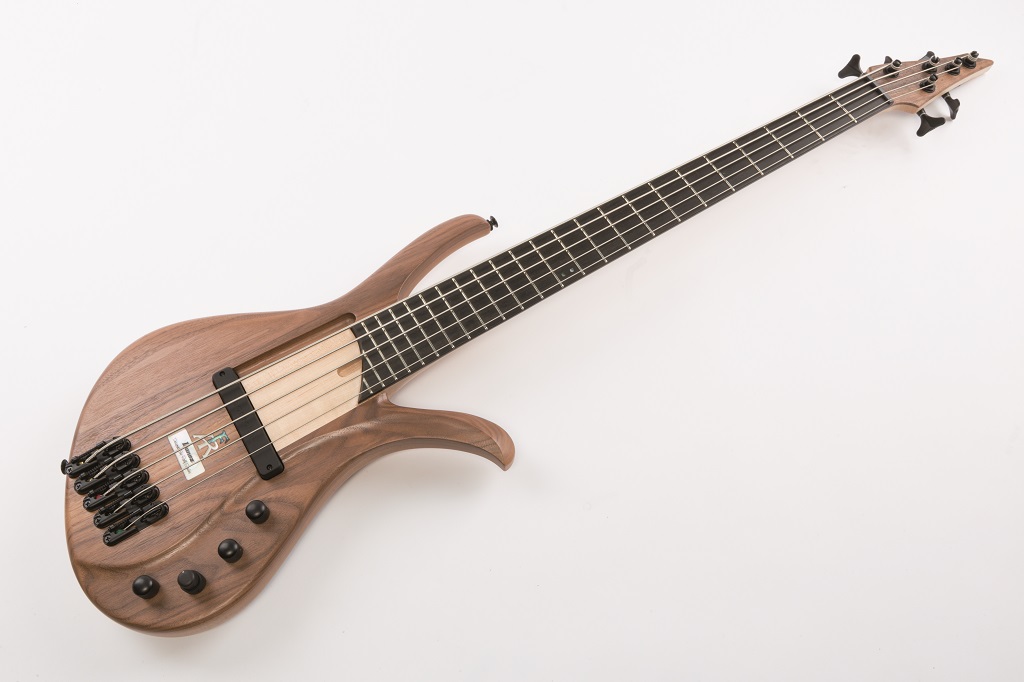 Ibanez AFR5WAP