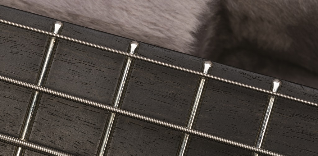 Ibanez AFR5WAP
