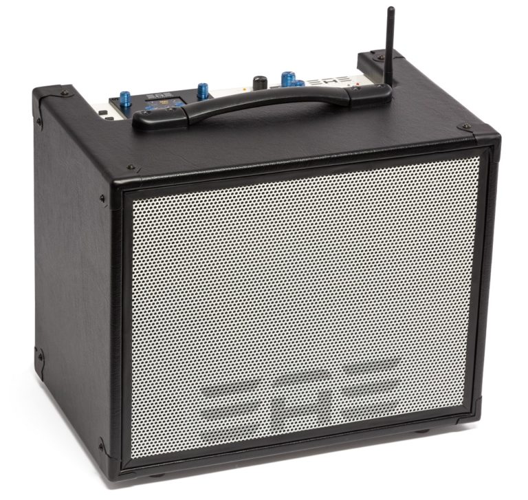 Test Elite Acoustics D658 Acoustic Guitar & Vocal Amplifier GITARRE